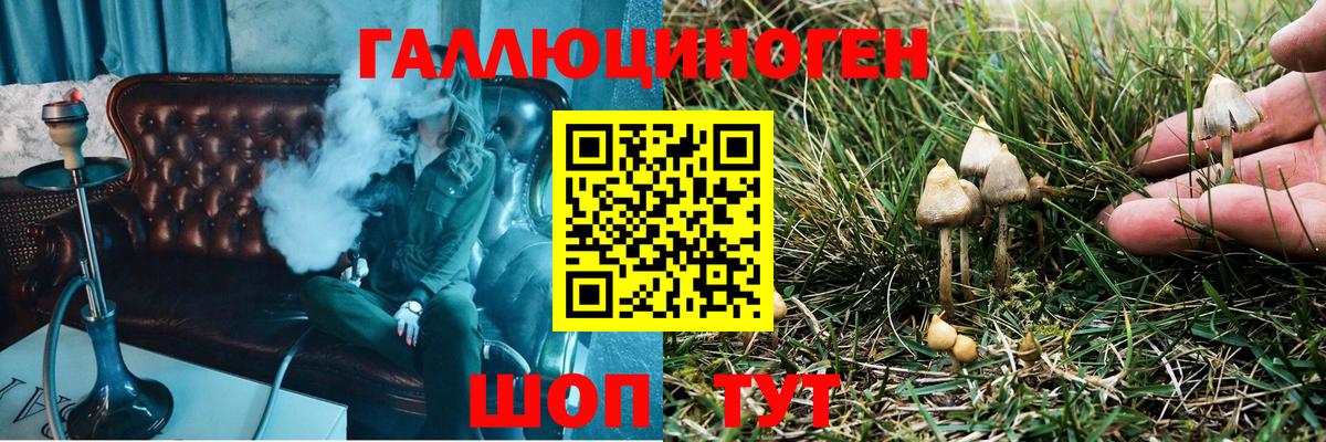 Галлюциногенные грибы ЛСД Славгород